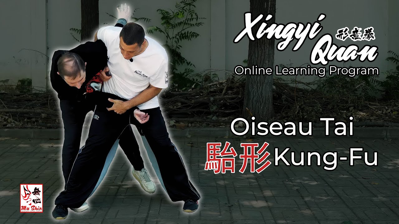 Applications du style de l’Oiseau en Kung Fu !#kungfu #xingyi