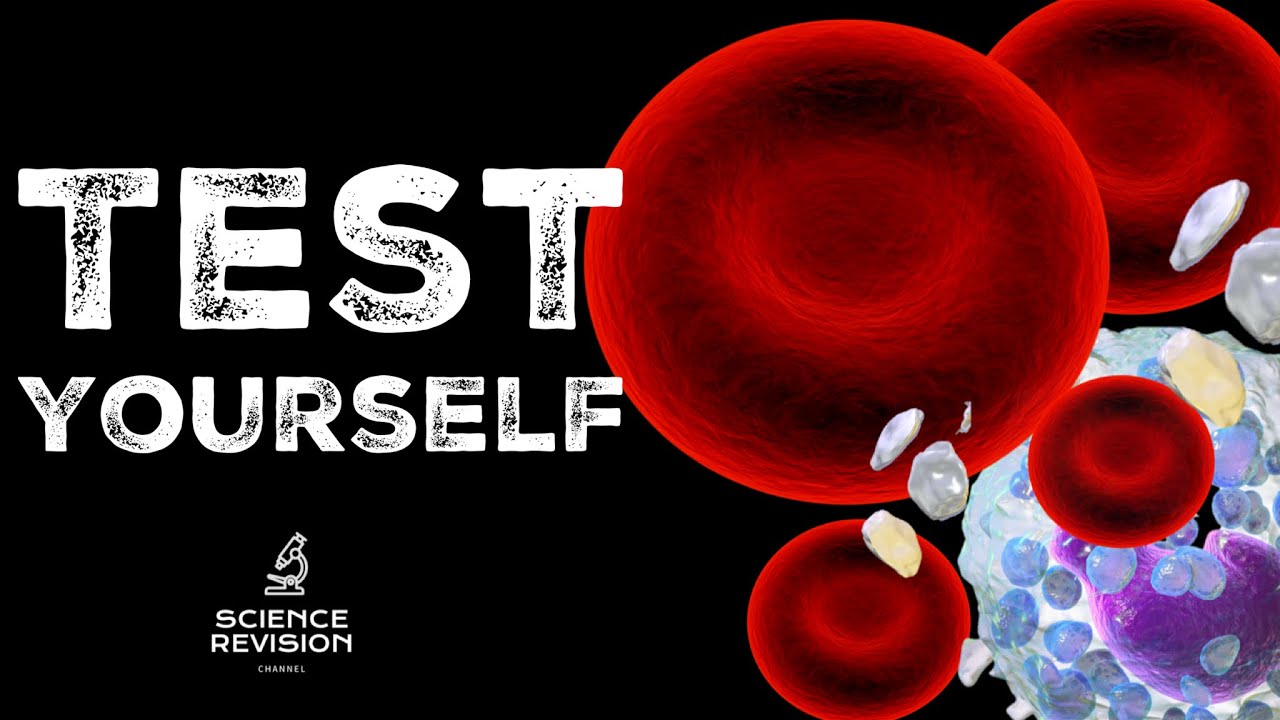 GCSE Science Biology - Blood and Blood Vessels - Test Yourself