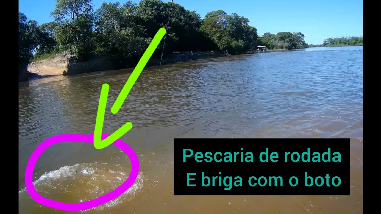 pescaria de rodada no Rio Araguaia e briga com o boto