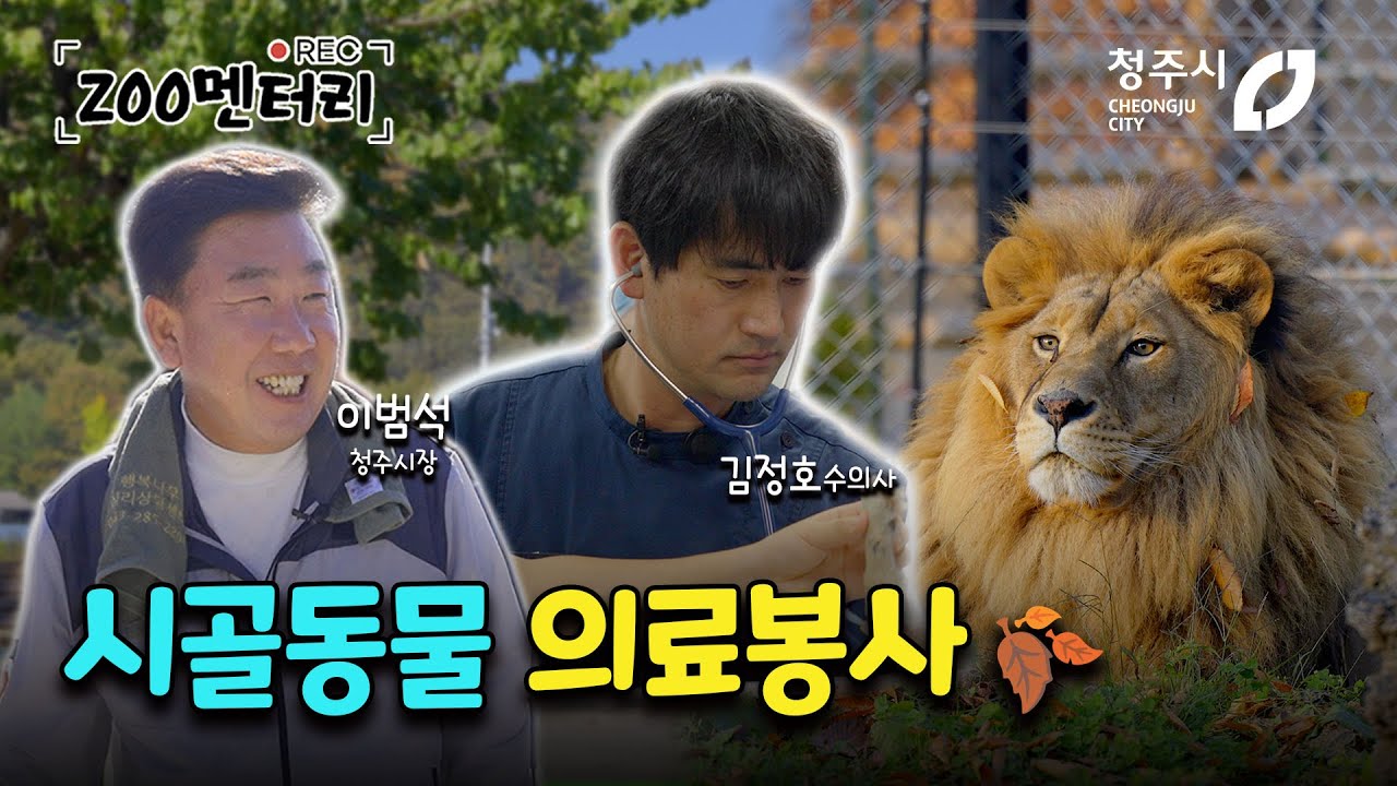 시골동물 의료 봉사 나선 수의사들, 동물복지 선도도시 청주의  어떤 날