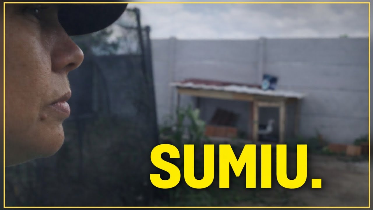 Sumiço na roça