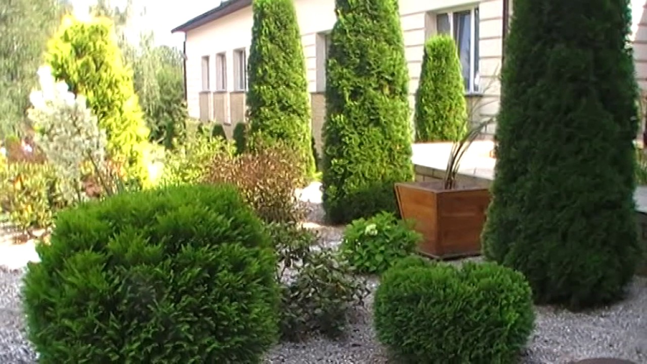 Polańczyk-Solinka