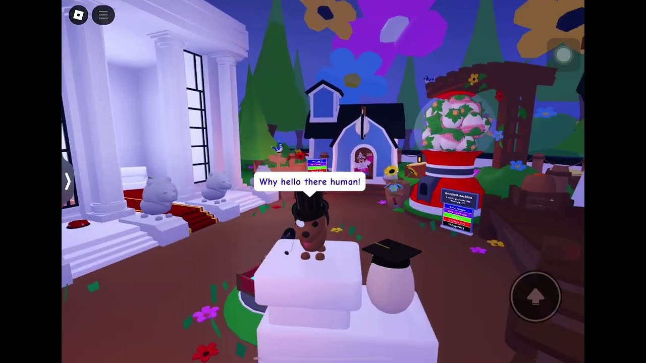 Playing adopt me on a new account (first vid)