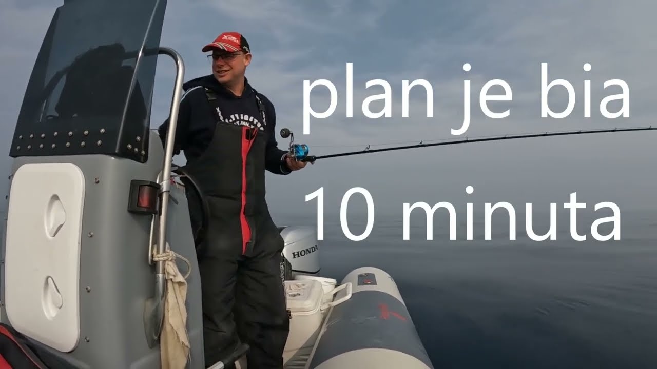 Prava istina o vibri