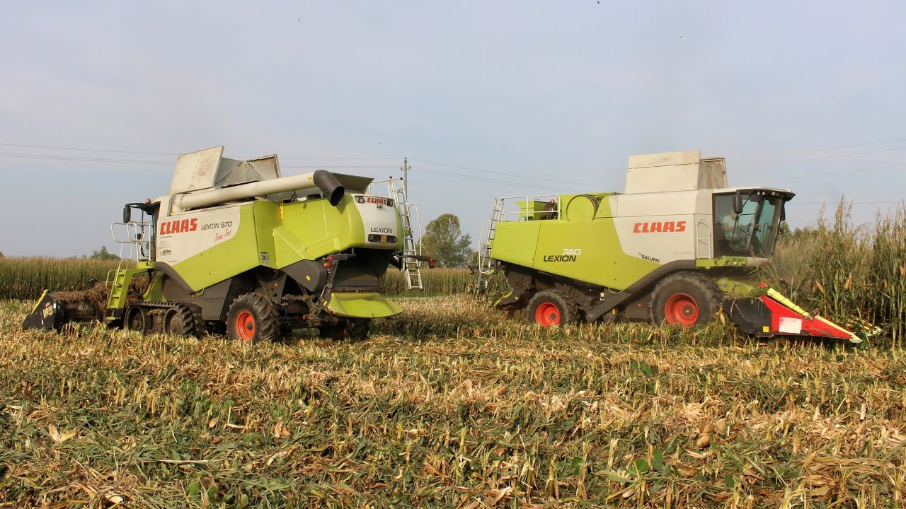MIETITURA MAIS 2x Claas Lexion 740/570 Terratrac |Corn Harvest