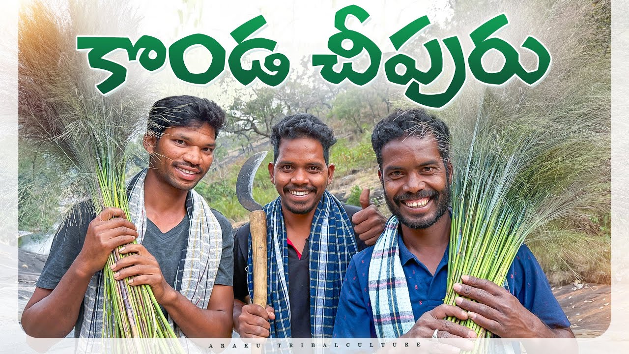 WILD BROOM : కొండ చీపురు | కొండప్రాంతాల్లో మా గిరిజనులు సేకరించే విధానం | Araku Tribal Culture