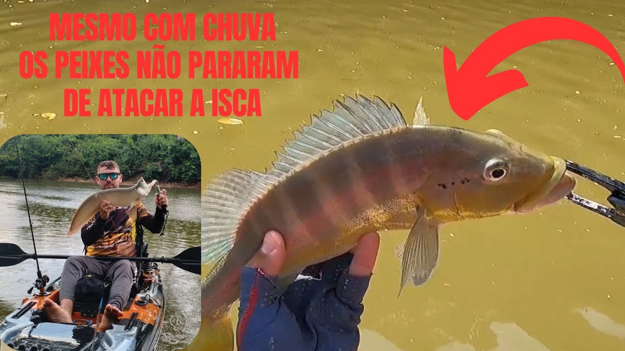 PARAZÃO BOM  DE PEIXE: NEM COM CHUVA OS PEIXES NÃO  DERAM TRÉGUA.