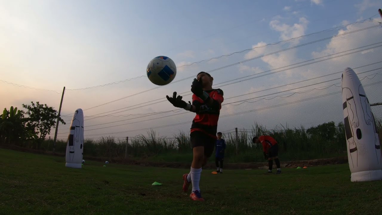 46TRAINING17022569#7