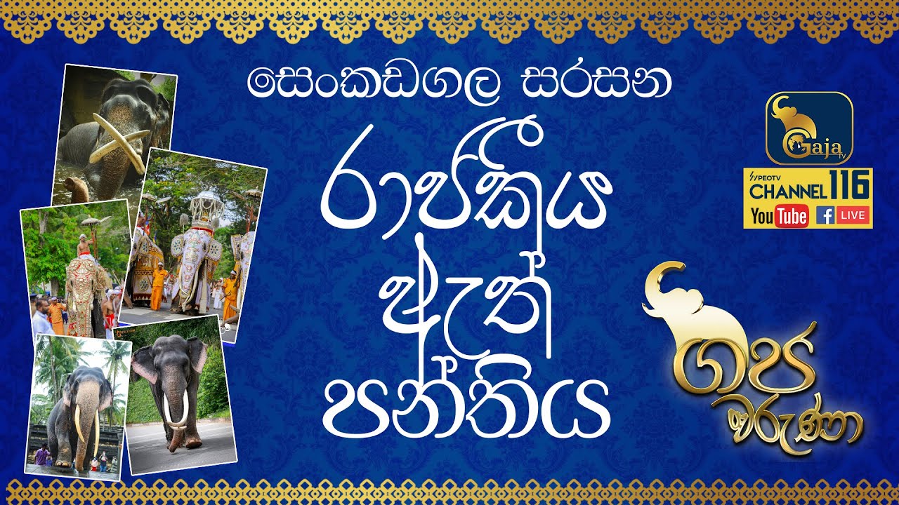 ශ්‍රී දළදා මාලිගාවේ ඇත්ගාලේ සිට ගෙන එන ගජ වරුණාව| පලමු කොටස | GAJA TV | Gaja Waruna