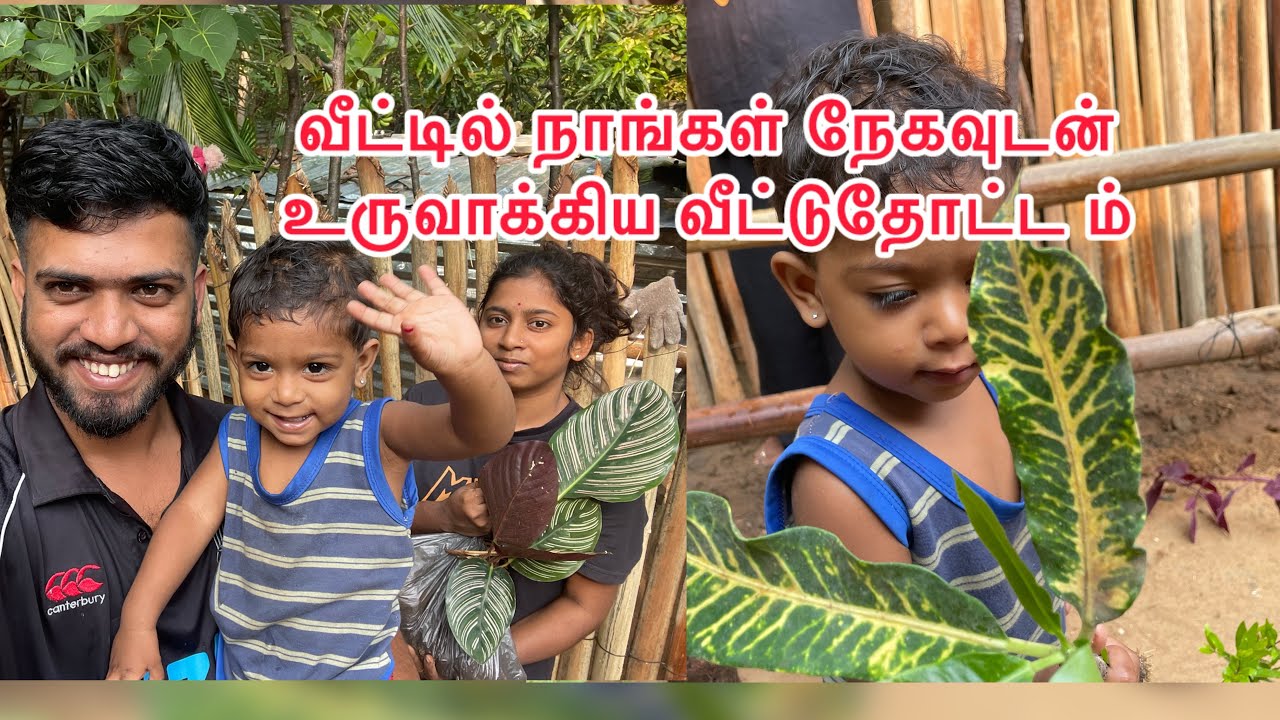 நேக வீட்டில் நாங்கள் உருவாக்கிய வீட்டுத்தோட்டம் 
