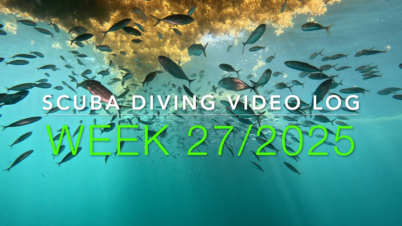 Scuba Diving St. Maarten Vlog - Week 27, 2025