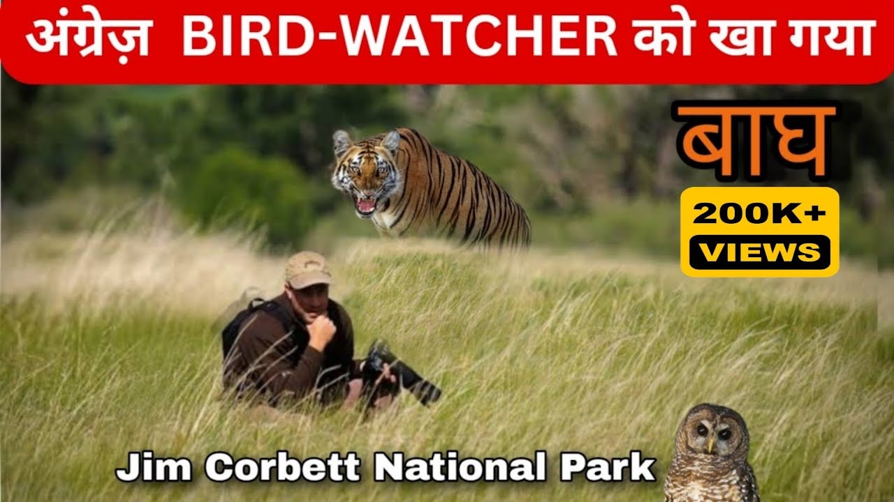 David Hunt-1985 की वो दिल दहला देने वाली घटना |Jim Corbett National Park |Dhikala |