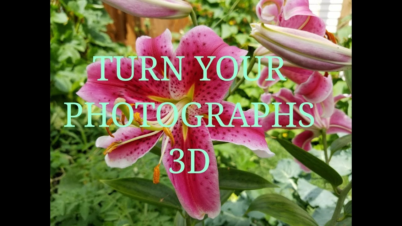Turn a photograph into a stunning 3D image with Paper Tole