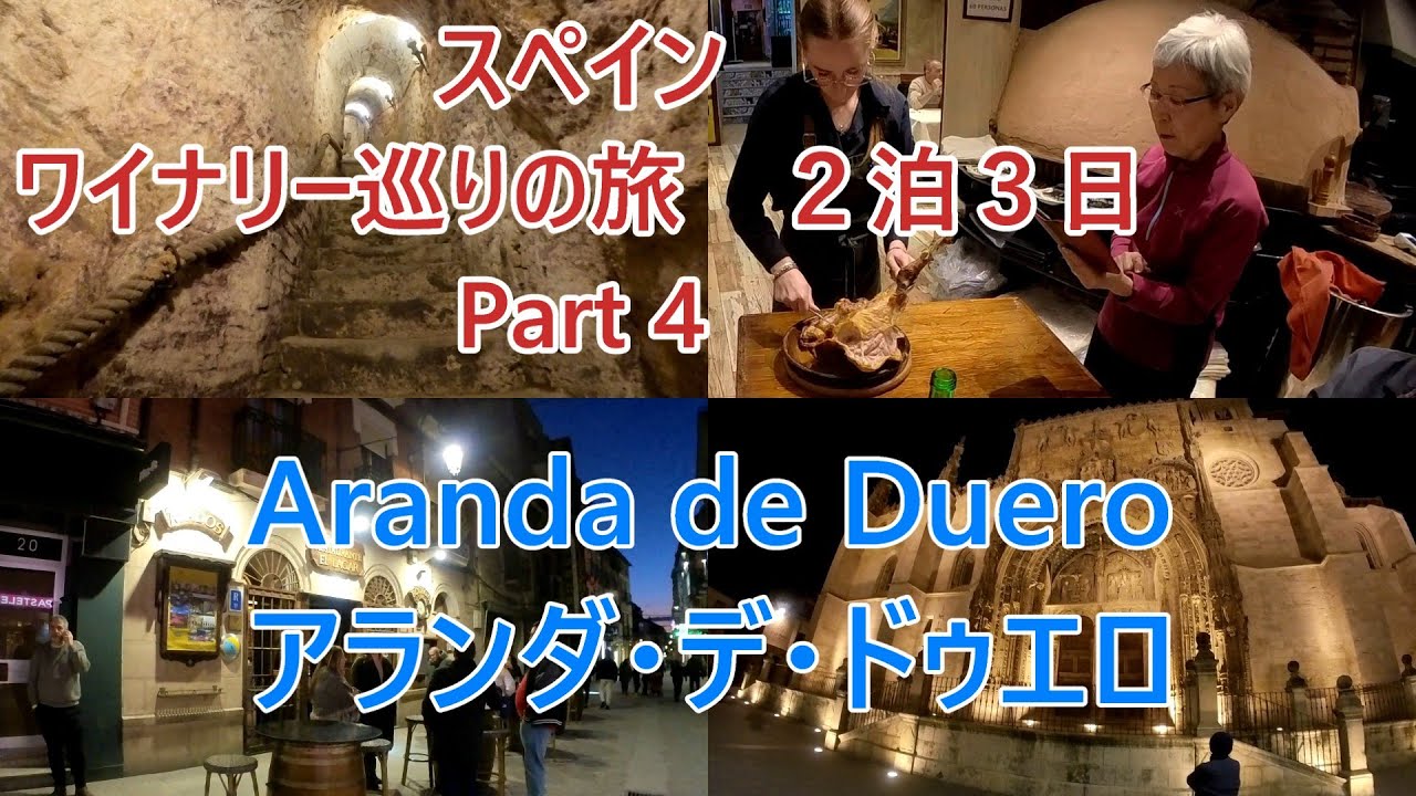 スペイン ワイナリー巡りの旅４　#スペイン #スペイン旅行 #サンティアゴ巡礼 #ワイナリー  #ボデガ巡り #rioja #リオハ #リベラデルドゥエロ #riberadelduero