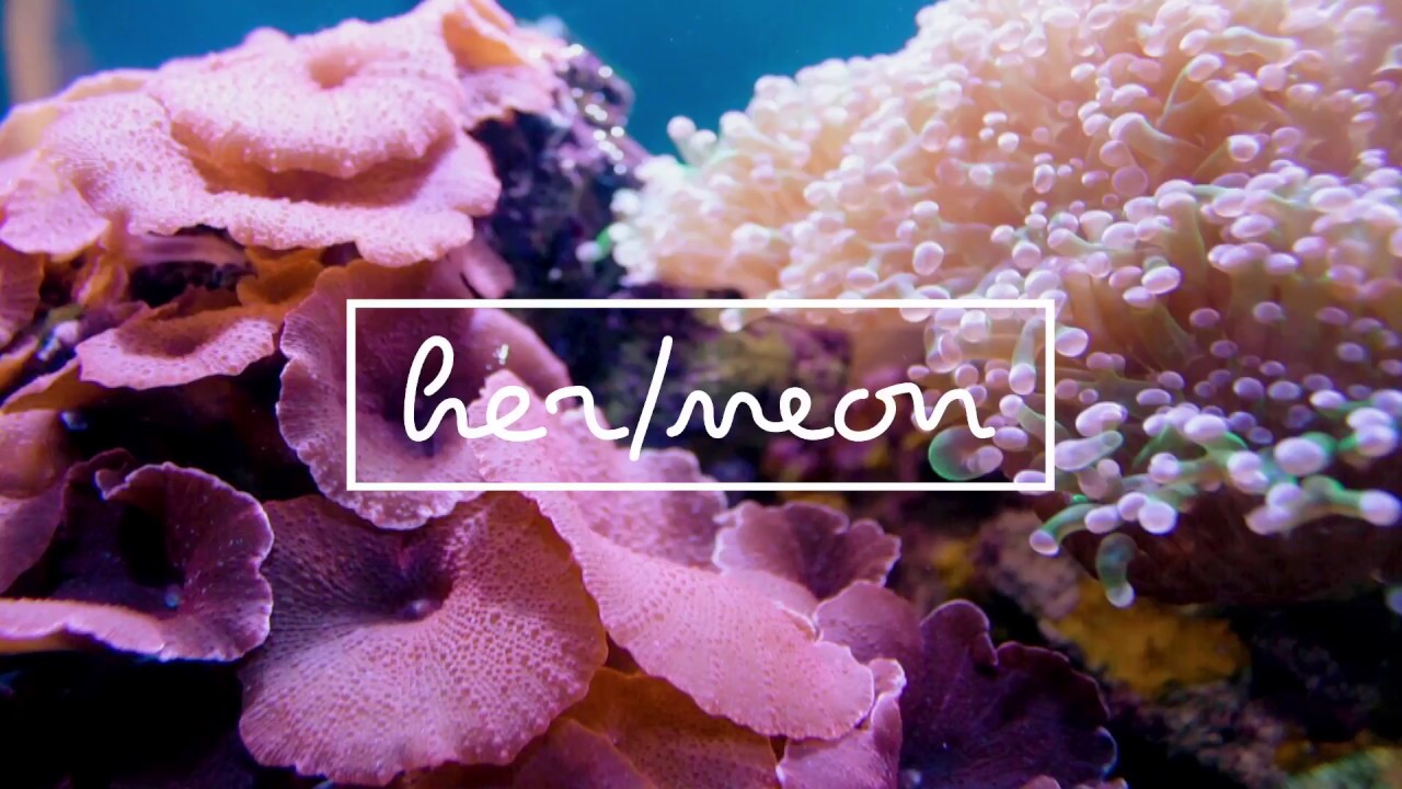 her - neon