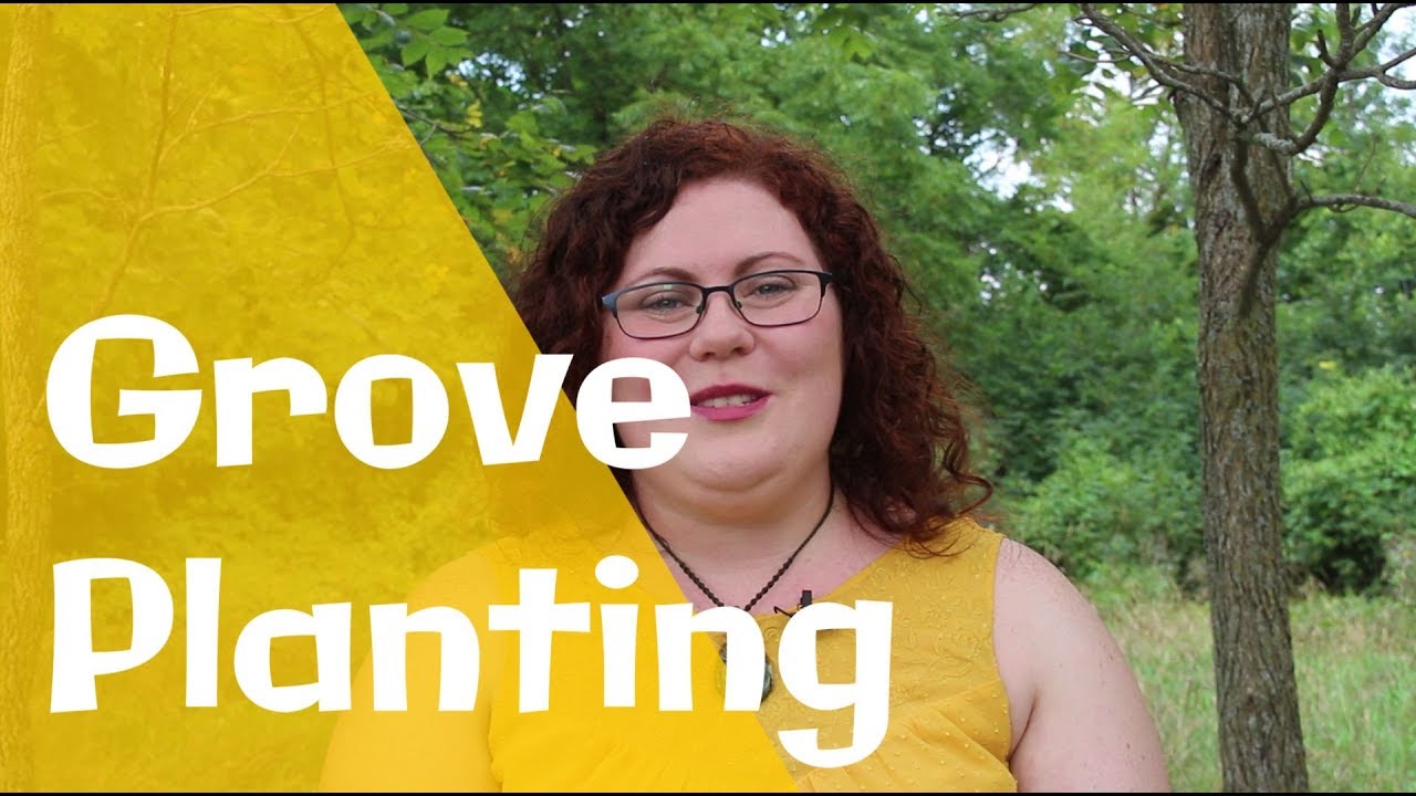 Planting a Druid's Grove - My Magical Garden & Outdoor Sacred Space