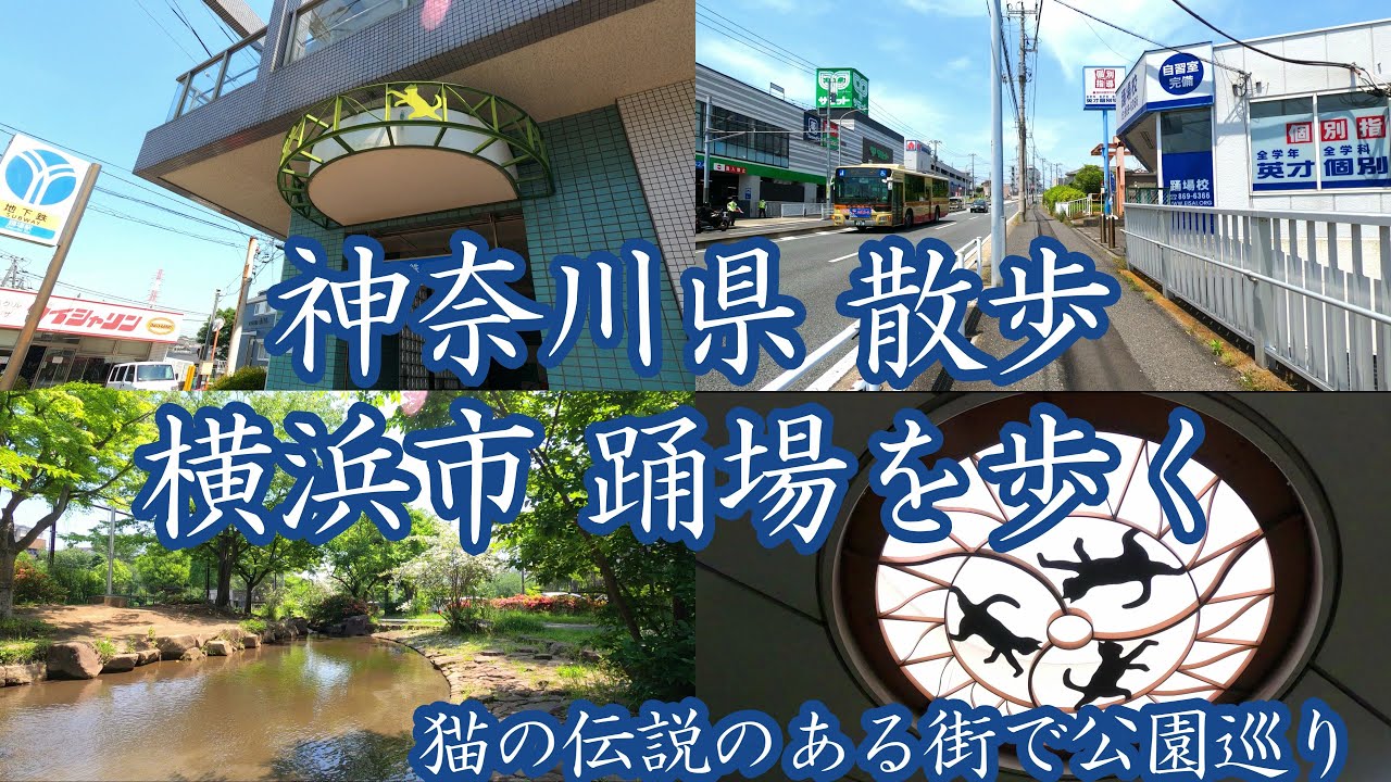 ( 4K ) 神奈川県 散歩 横浜市 踊場を歩く ( Walk yokohama city Odoriba )