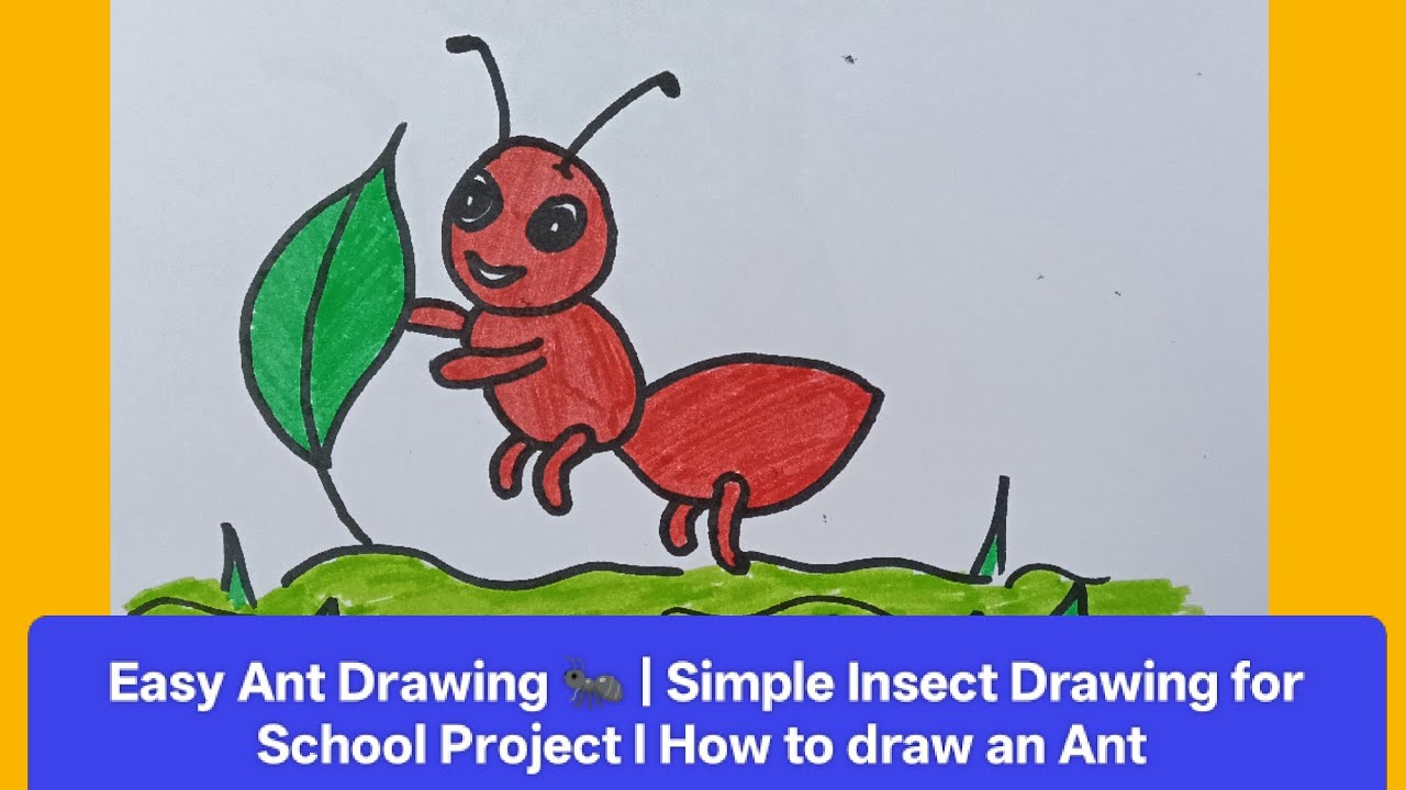 How to Draw an Ant 🐜 | Easy Insect Drawing for School Project l cartoon style ant drawing,Antdrawing