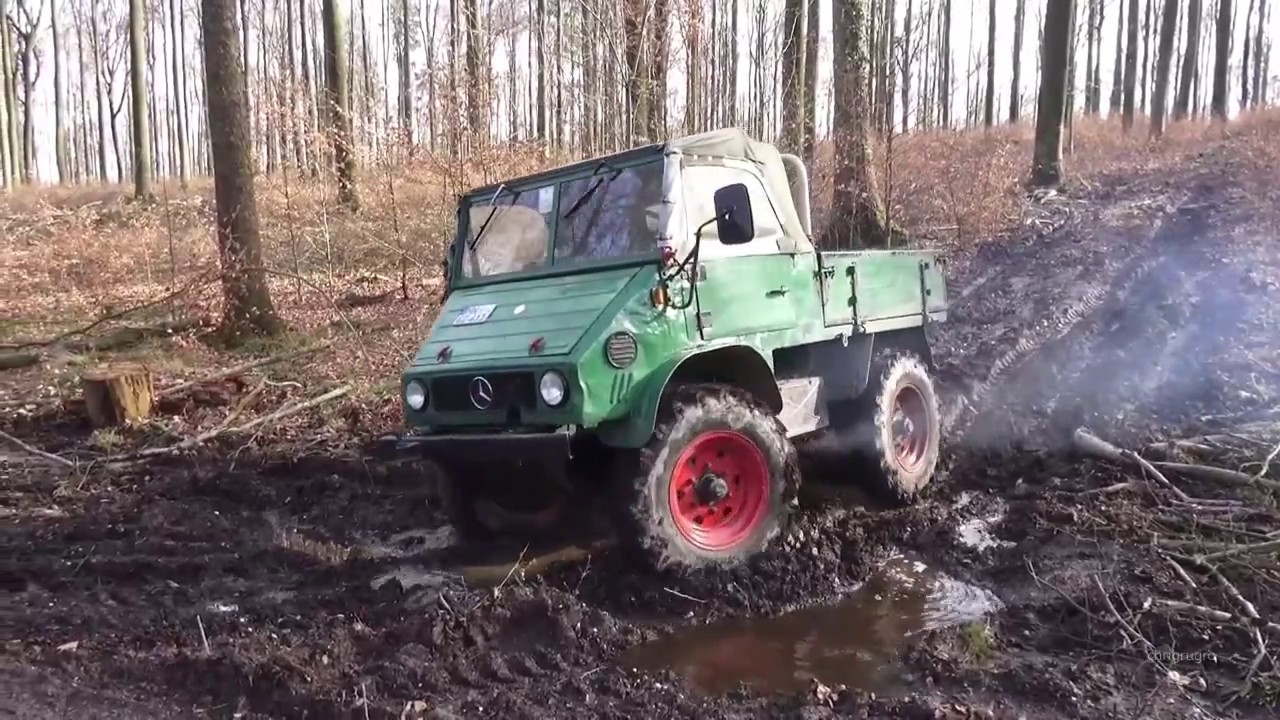 Unimog im Wald