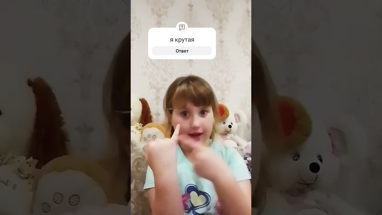 24 ноября 2023 г.