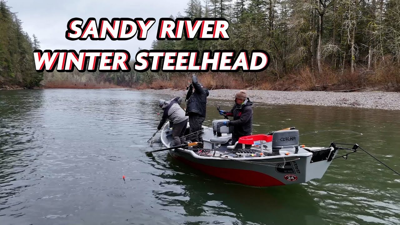 Sandy River Winter Steelhead Fishing