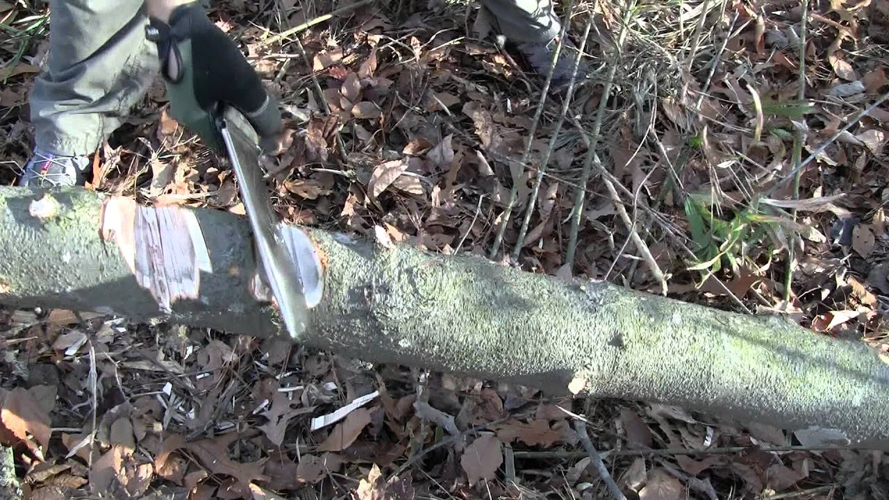 Busse Nuclear Meltdown Fusion Battle Mistress Limited Edition (NMFBMLE) (Close-up) (HD)