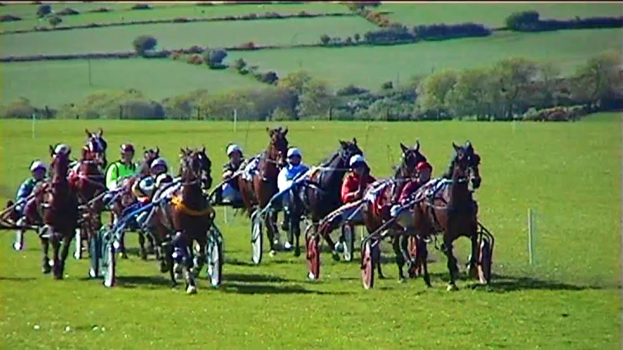SYNOD INN HARNESS RACES 2000 GRADE B FINAL