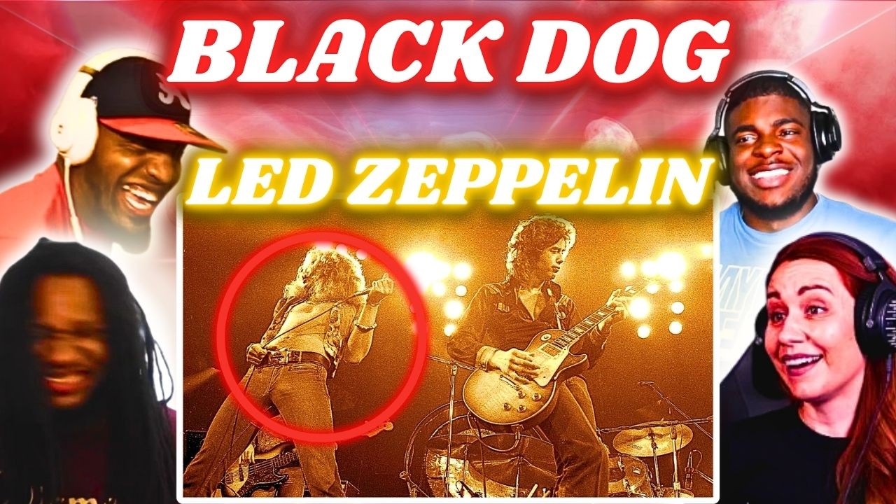 Speechless in 20 Seconds! - Led Zeppelin - Black Dog | Multiple Reactions