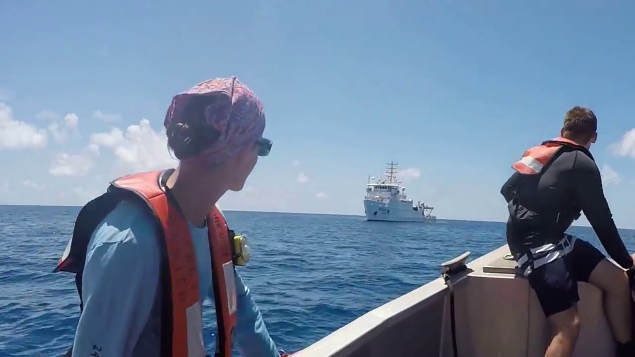 Scientific collaboration in Florida Keys National Marine Sanctuary