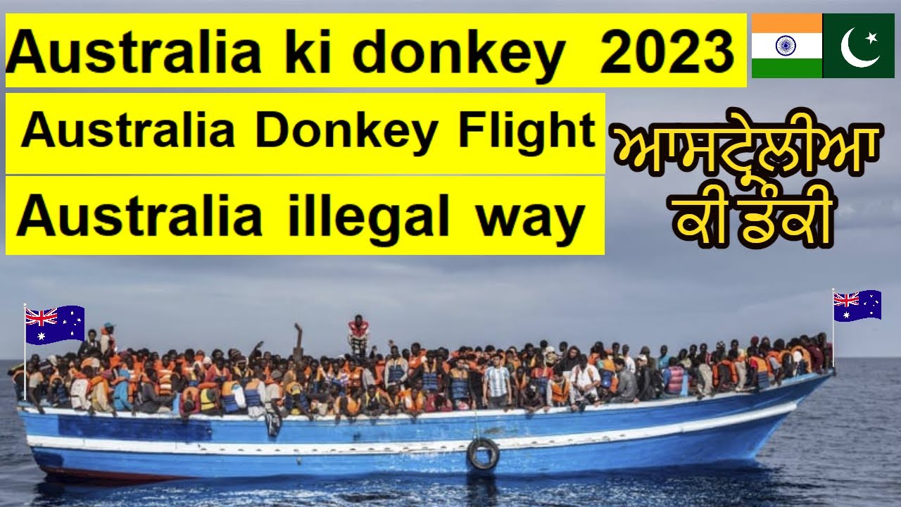 Australia ki donkey 2023 | Australia Donkey Flight | Pakistan India to Australia illegal way 🇦🇺🇵🇰🇮🇳