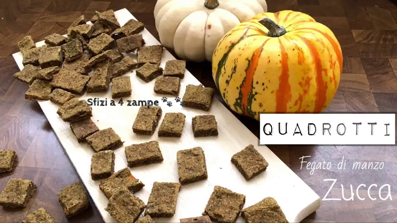 SNACK PER CANI quadrotti con fegato e zucca - BISCUITS FOR DOGS squares with liver and pumpkin