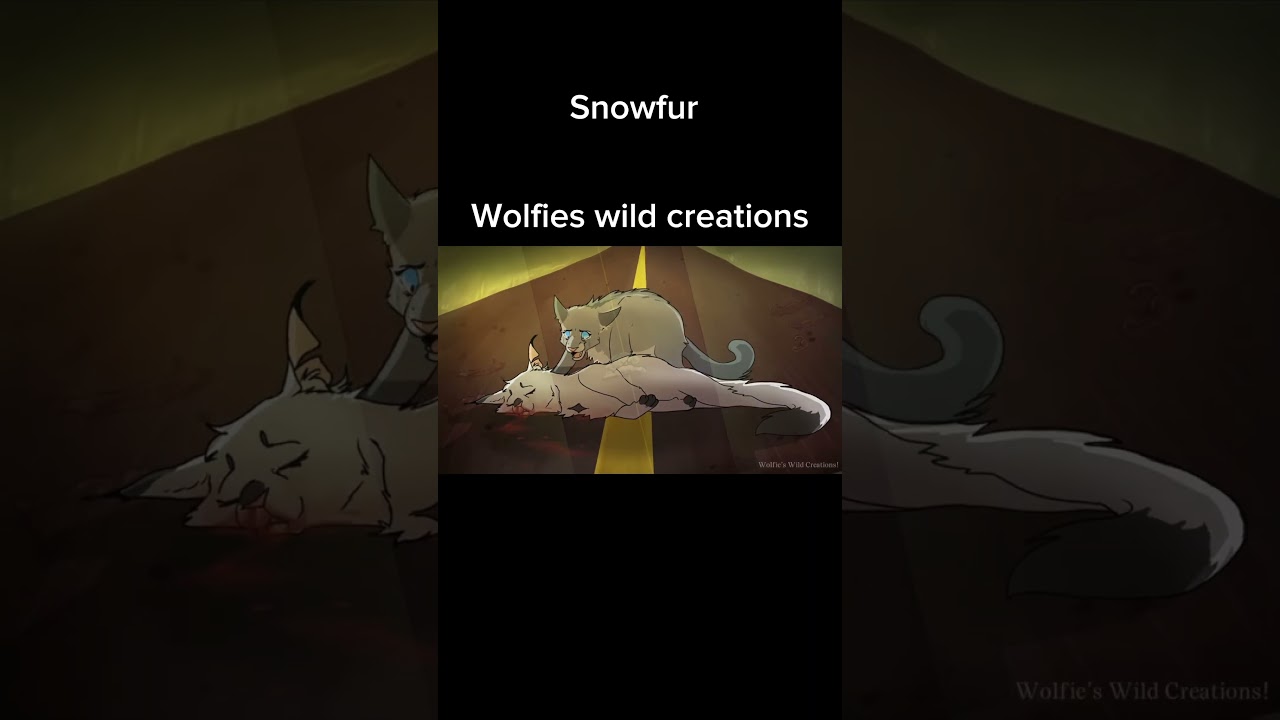 Some of the saddest deaths in warrior cats part 5
