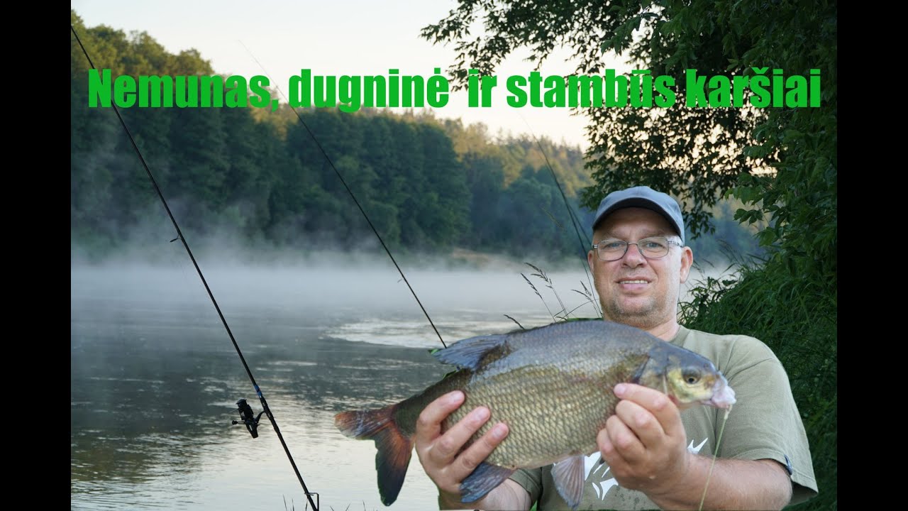 Nemunas, dugninė  ir stambūs karšiai