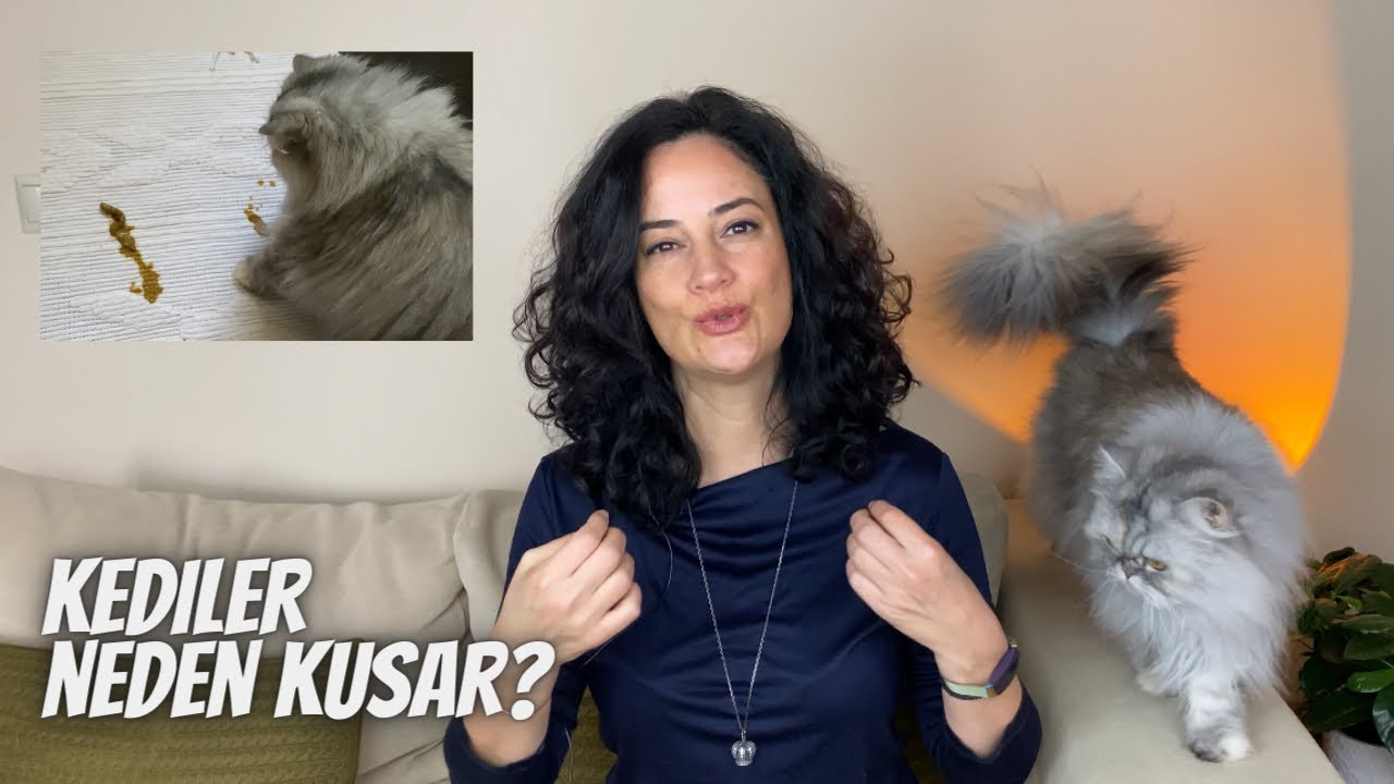 Kediler neden kusar⁉️ Sebepleri ve çözümleri neler… Ne zaman kusması tehlikeli⁉️🐾