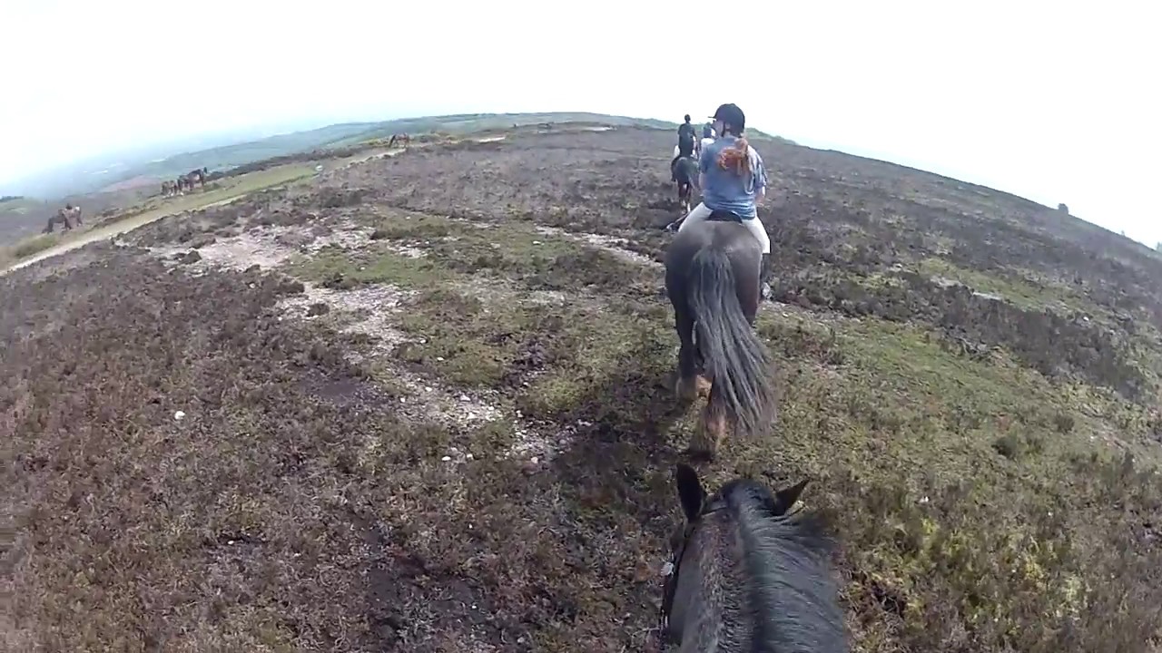 Riding Holidays in Somerset