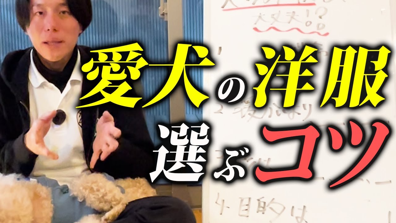 【完全解説】洋服を着ていい犬・きてはいけない犬。正しい選び方のコツ5選【警察犬ドッグトレーナーが本音で語る】