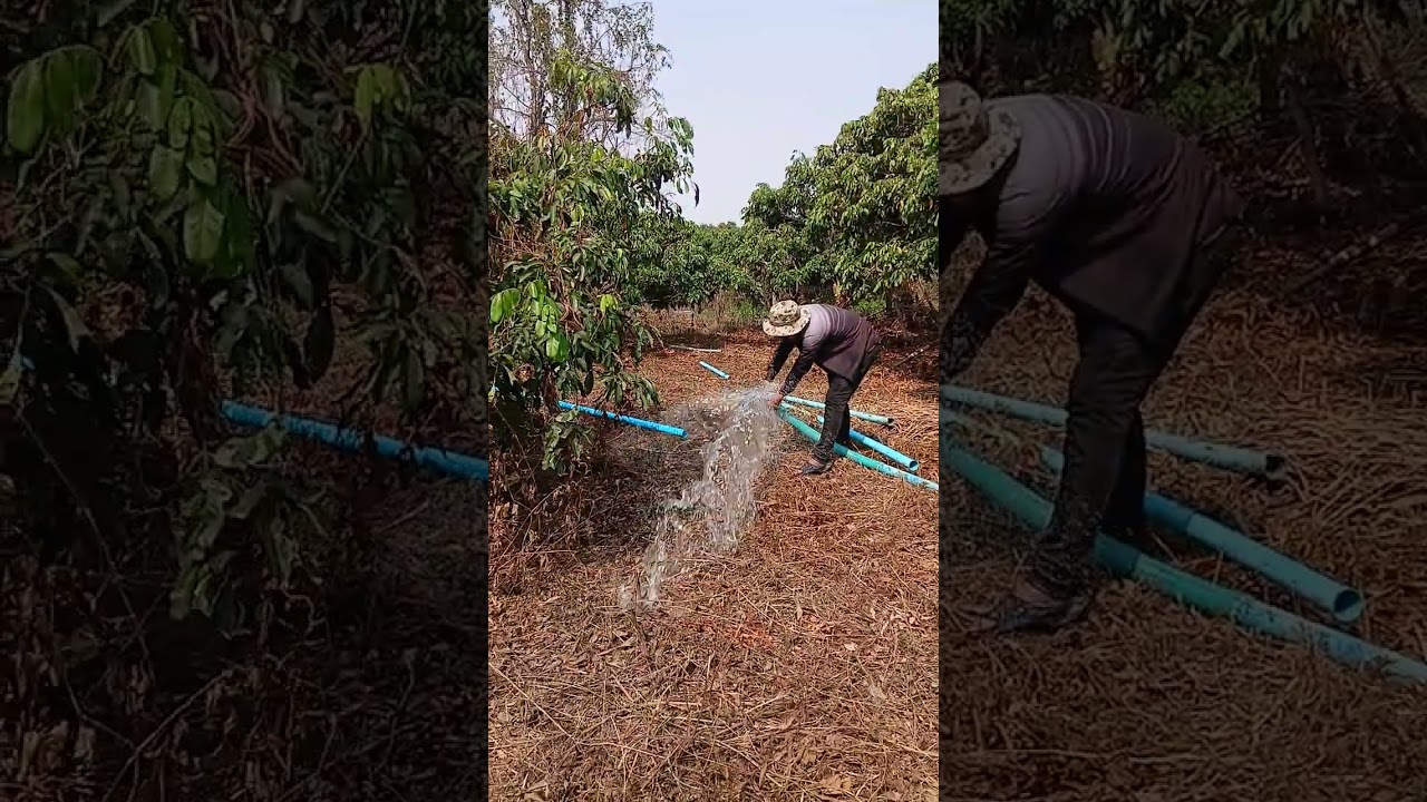 Pumping crop