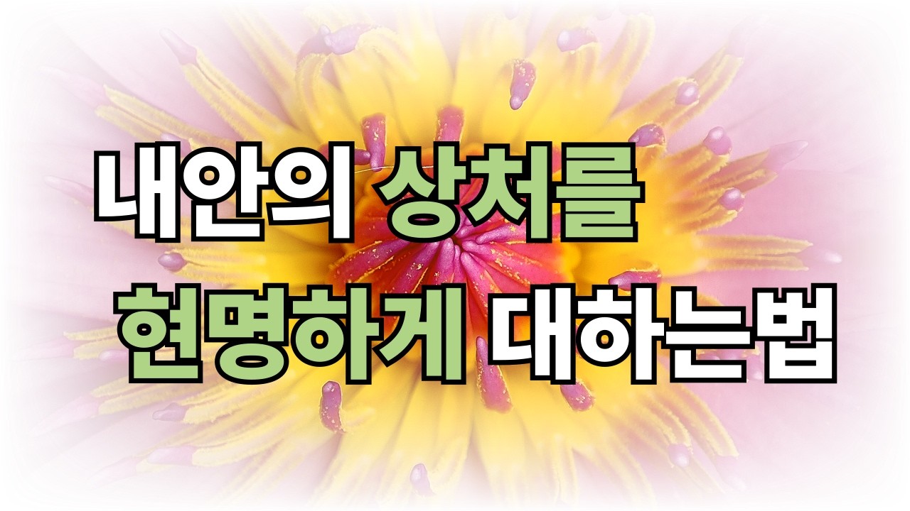 내 안의 상처를 현명하게 대하는 법