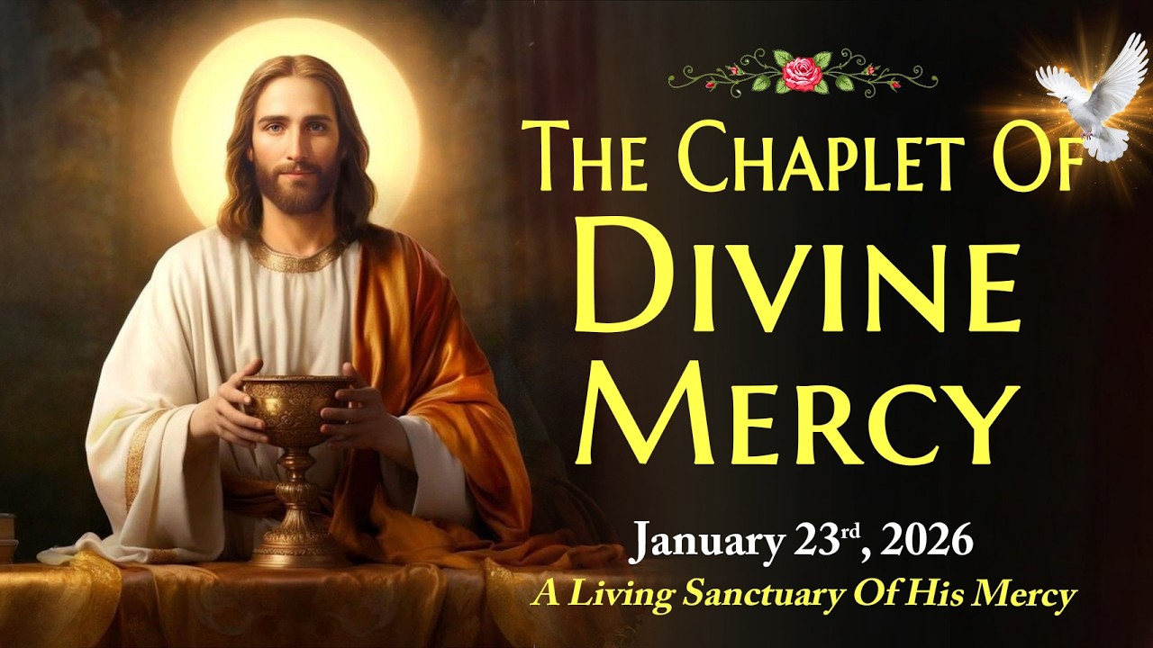 Daily Divine Mercy Chaplet | Friday, 23/01/2026 🙏 A Living Sanctuary Of His Mercy