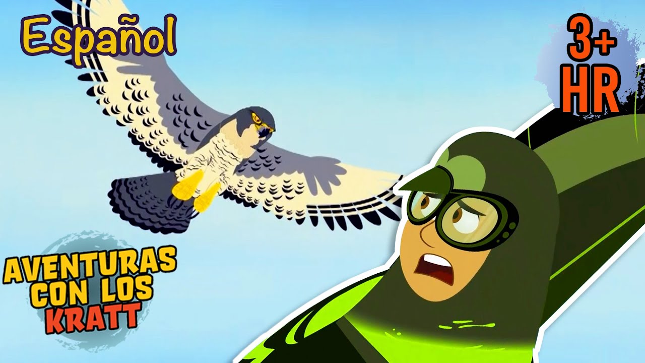 Halcones | Depredadores voladores de la ciudad [episodios completos] Aventuras con los Kratt