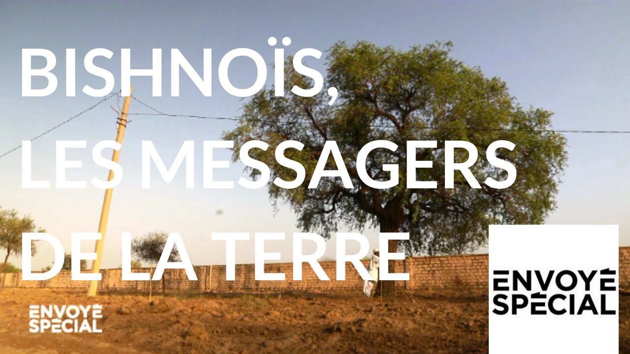 Envoyé spécial. Bishnoïs, les messagers de laTerre - 4 octobre 2018 (France 2)