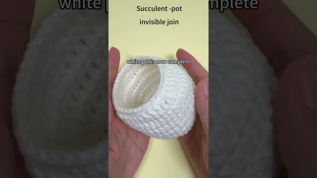 Complete Succulent Video Tutorial