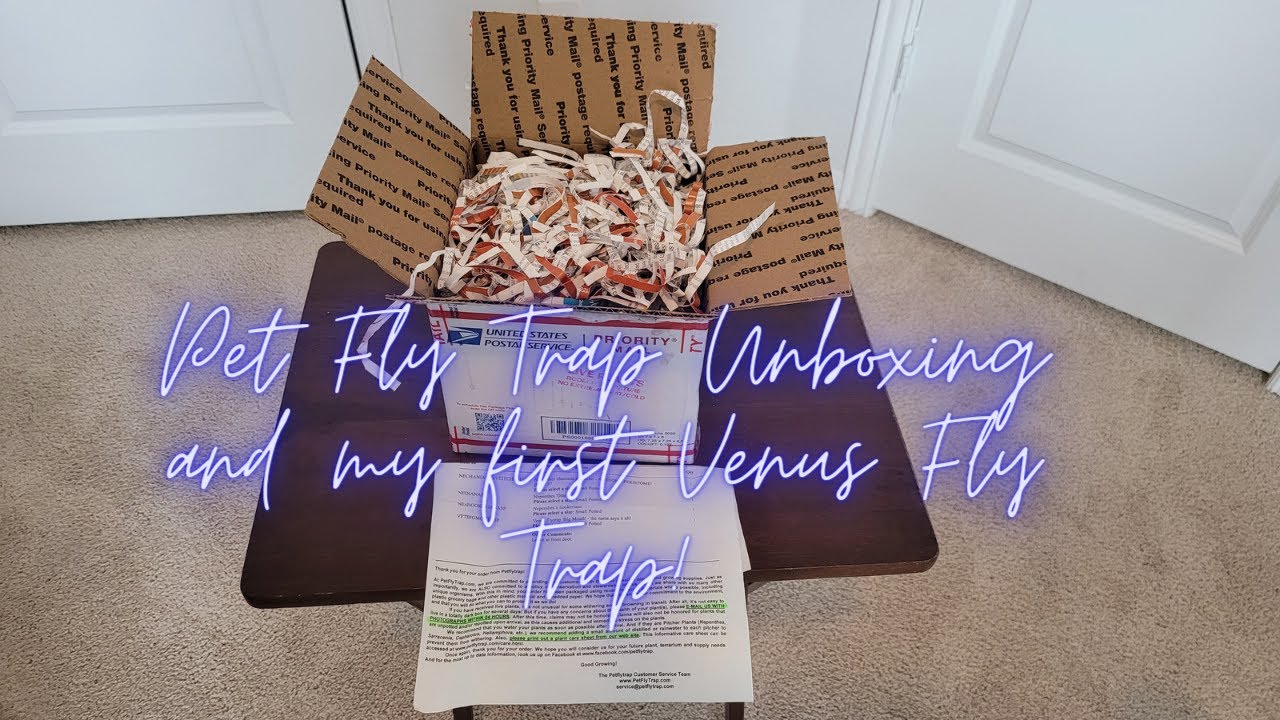 PetFlyTrap Carnivorous Plant Haul Unboxing and my first Venus Fly Trap!