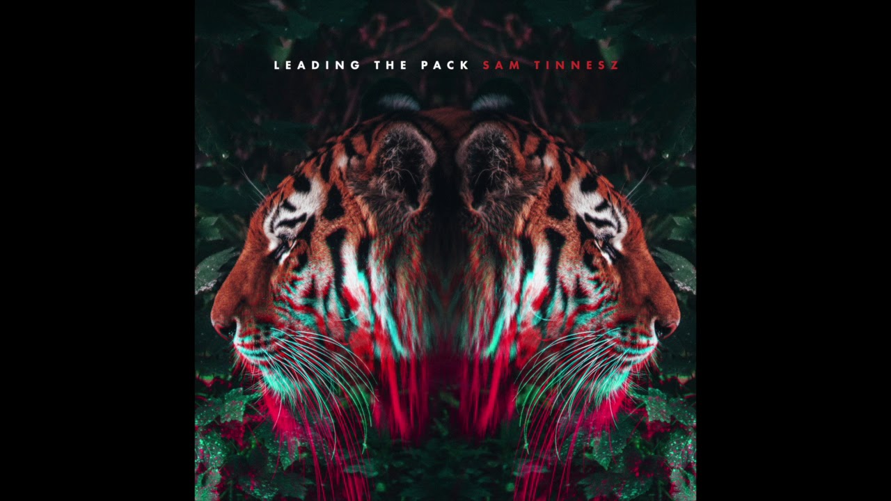 Sam Tinnesz - Leading The Pack [Official Audio]