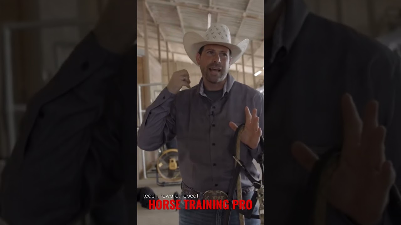Why Your Horse Favors One Side Over The Other
