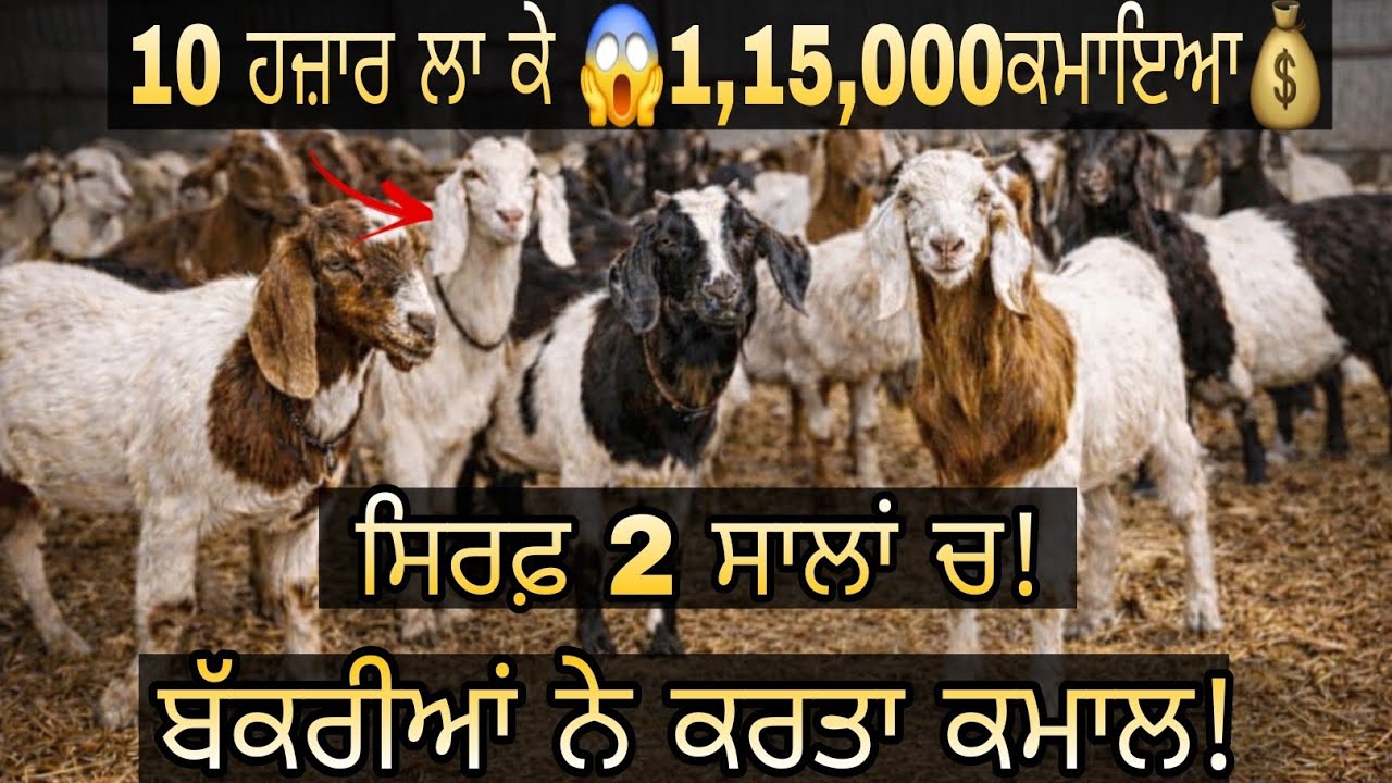 10 Hazaar da Risk… 1 Lakh Ban Gya? 😳