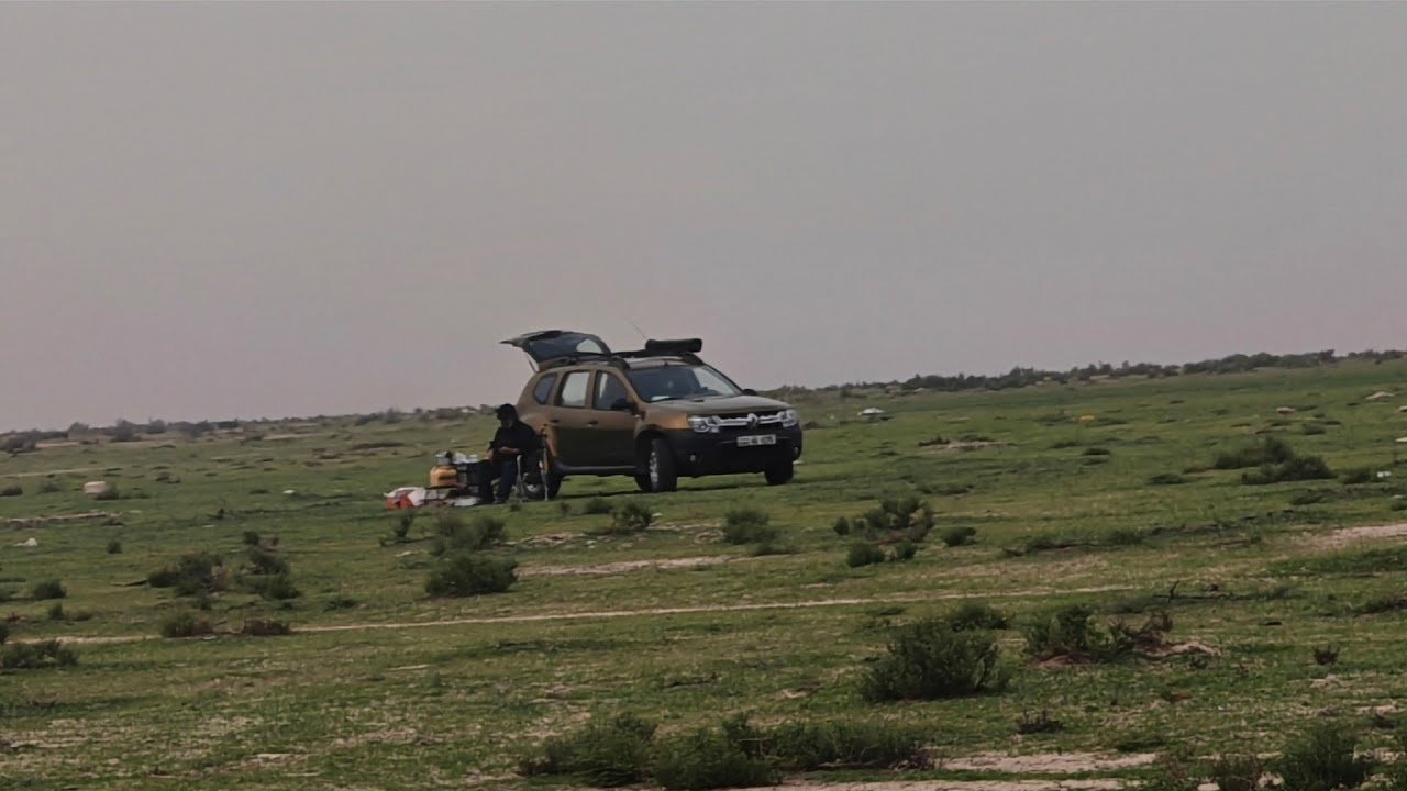 بوناصر العمر  كشتة برية خفيفة 💐☘️🌿🌿 ٢٠٢٦/٢/١٣ م الكويت 🇰🇼 