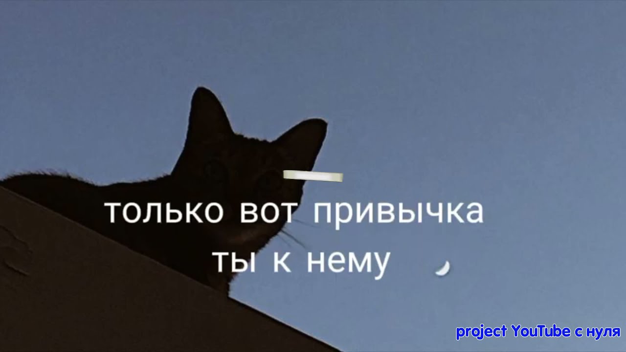 💕🐰 Футажи из тиктока • 14 мин •🐰💕
