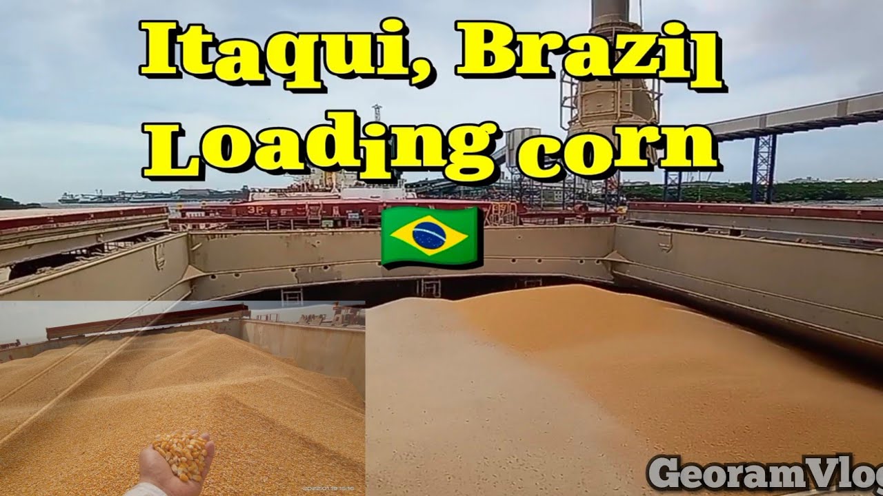 Loading Grains Cargo (Corn) Bulk ship @ Itaqui, Brazil🇧🇷 #buhaymarino #seamanslife #seaman