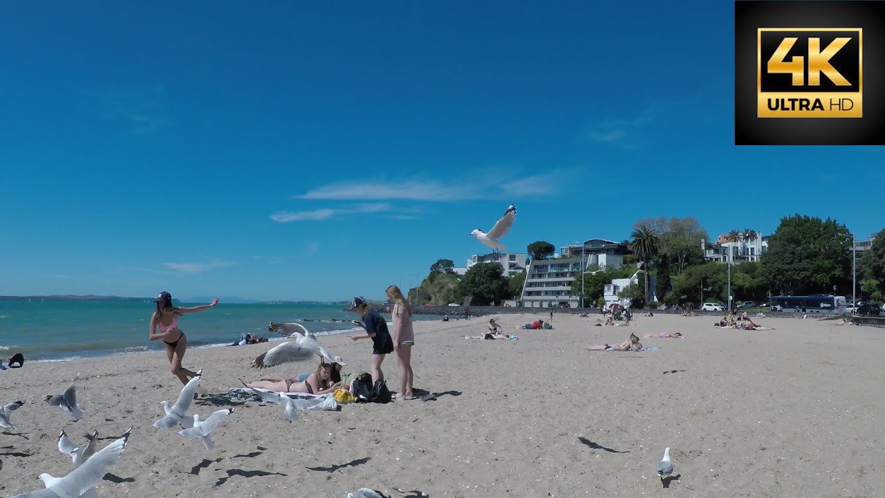 4K| Auckland| Level 3 : Step 1| Mission Bay| Beach Walk| I walk for you